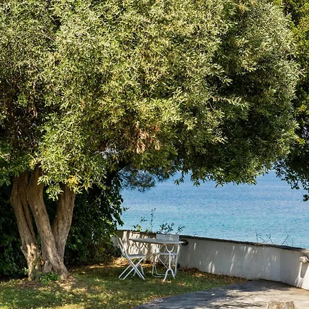 Zeusplace Seaside Private And Parking בית נופש פלאקה ליטוחורו
